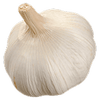 Onion